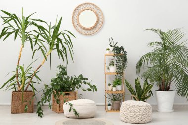 Beyaz duvarın yanında puflarla, raflarla ve çiçeklerle dolu bir oda.