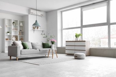 Gri kanepesi, raf ünitesi ve bitkileriyle aydınlık oturma odasının içinde.