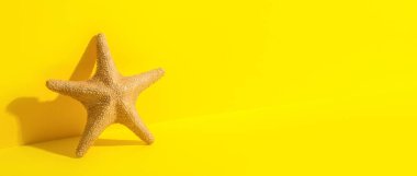 Sarı arkaplanda güzel deniz yıldızları ve metin için boşluk