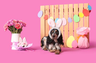 Paskalya pastası, hediye yumurtası, güzel laleler ve mor arka planda ahşap çitle tavşan kulaklı şirin cocker spaniel.