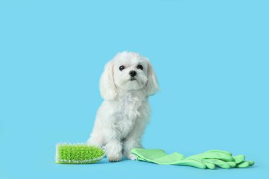 Mavi arka planda temizlik malzemeleri olan sevimli bir köpek.