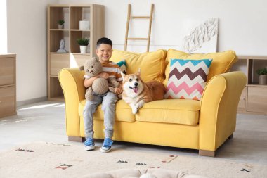 Little happy Asian boy with cute Corgi dog and teddy bear sitting on sofa at home