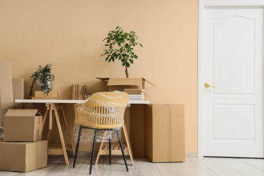 Mobilyalar, ev bitkileri ve bej duvarın yanında eşyalar olan karton kutular. Taşınma konsepti