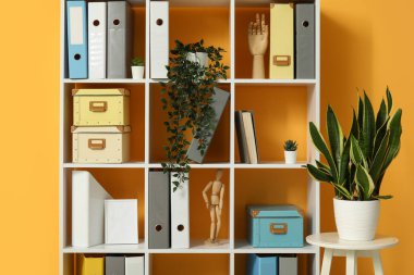 Turuncu duvarın yanında doküman dizinleri ve bitkileri olan raf ünitesi