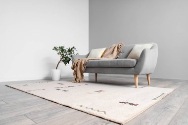 Oturma odasında bej halı, kanepe ve bitki var.