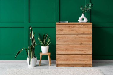 Yumuşak halı, klozet ve bitkilerle dolu bir oda.