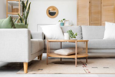 Ayna, gri kanepeler ve masalı aydınlık oturma odasının içi.