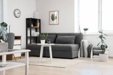 İçinde modern gri kanepe, sehpa ve ev bitkileri olan oturma odası.