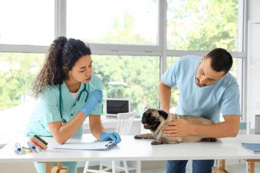 Kadın Afro-Amerikan veteriner klinikte sahibi ve köpeğiyle çalışıyor.