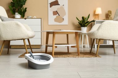 Oturma odasındaki kedi için kepçe ve çöp kutusu