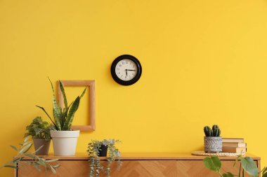 Odada sarı duvarın yanında klozette kitaplarla bitkiler