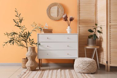 Çekmeceler ev bitkileriyle dolu, katlanan ekran ve ayna turuncu odada.