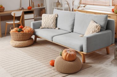 Oturma odasının içinde gri kanepe, sepet dolusu farklı balkabağı ve sepet var.