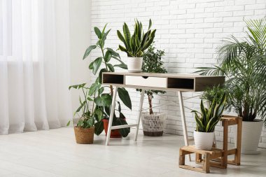 Ofiste çiçekli şık bir masa.