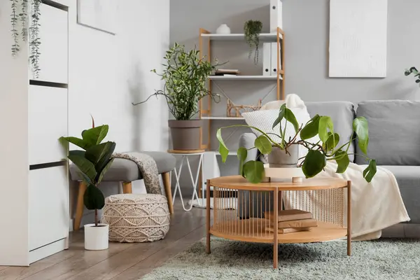 Konforlu kanepe, çiçekli kahve masası ve oturma odasının içinde puf.