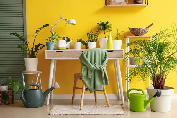 İçinde yeşil bitkiler ve masa olan bir oda.