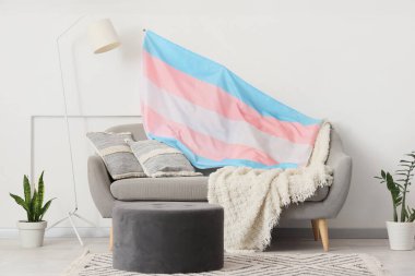 Beyaz duvarın yanında gri kanepe, puf ve transseksüel bayrağı olan modern bir oda.
