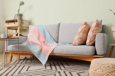 Modern odada yeşil duvarın yanında kahve masası ve transseksüel bayrağı olan gri kanepe.