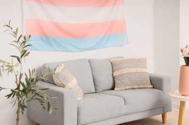 Beyaz duvarın yanında gri kanepesi, çiçekleri ve transseksüel bayrağı olan modern bir oda.