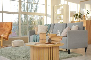 Oturma odasındaki masada lamba ve kitaplarla Reed dağıtıcı