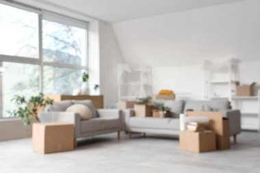 Hareket gününde oturma odasında gri kanepeli karton kutular, raf üniteleri ve ev bitkileri, bulanık görünüm