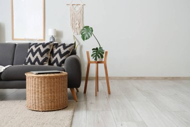 Oturma odasının içinde kanepe, sepet ve palmiye bitkisi var.