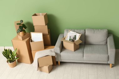 Oturma odasının içinde gri kanepe, ev bitkileri ve yeşil duvarın yanında bir sürü paket var.