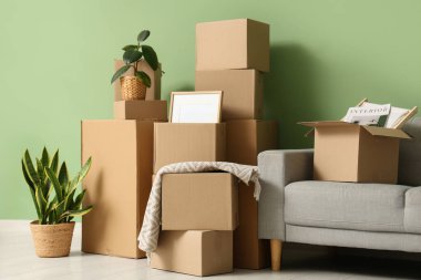 Oturma odasının içinde gri kanepe, ev bitkileri ve yeşil duvarın yanında bir sürü paket var.