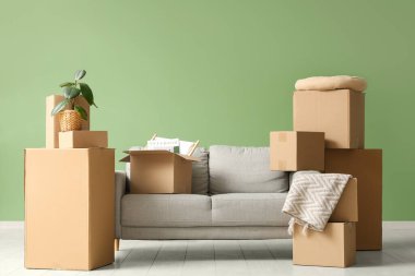 Oturma odasının içinde gri kanepe, çiçek ve yeşil duvarın yanında bir sürü paket var.