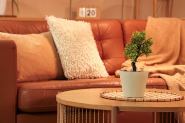 Hasır hasırlı ahşap sehpa ve kahverengi kanepenin yanında akşam şık oturma odasında, yakın çekim.