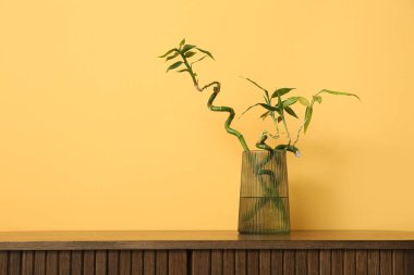 Turuncu duvarın yanındaki ahşap dolapta bambu dalları olan vazo, yakın plan.