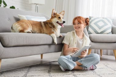 Evde tablet bilgisayar kullanan sevimli Corgi köpeği olan kızıl saçlı genç bir kız.