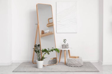 Ev bitkisi, puf ve zemin aynası beyaz duvarın yanında.