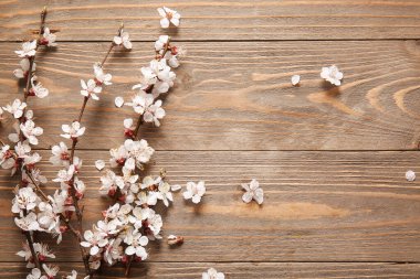 Güzel dallar ve tahta arka planda çiçekler.