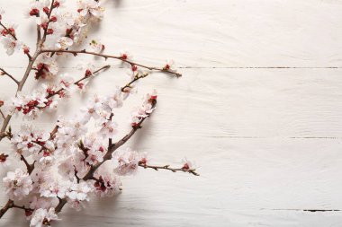 Beyaz ahşap arka planda güzel açan dallar