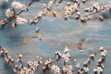 Mavi ahşap arka planda güzel açan dallar