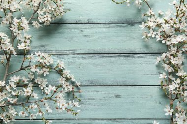 Turkuaz ahşap zemin üzerinde çiçek açan güzel ağaç dallarından yapılmış bir çerçeve.