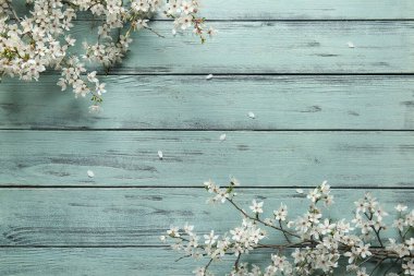 Turkuaz ahşap zemin üzerinde çiçek açan güzel ağaç dallarından yapılmış bir çerçeve.