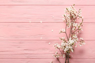 Pembe ahşap arka planda güzel ağaç dalları