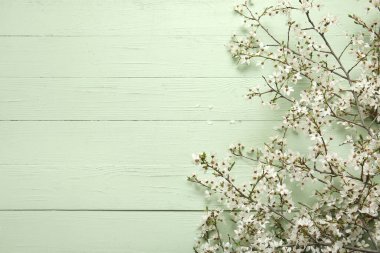 Soluk yeşil ahşap arka planda güzel ağaç dalları