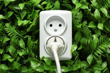 Prizli ve yeşil yapraklı elektrik prizi. Yeşil teknoloji kavramı