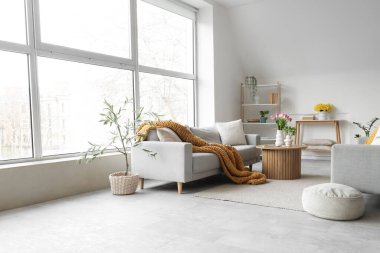 Gri kanepeleri, raf ünitesi ve bitkileriyle aydınlık oturma odasının içinde.