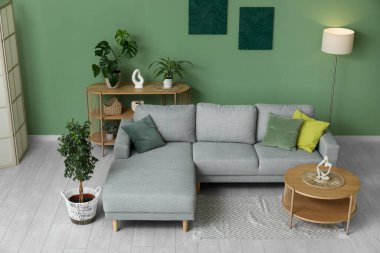 Rahat bir kanepe, ev bitkileri ve oturma odasının içindeki kahve masası.