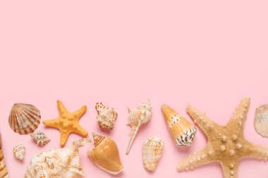 Pembe arka planda birçok farklı deniz kabuğu ve deniz yıldızı var.