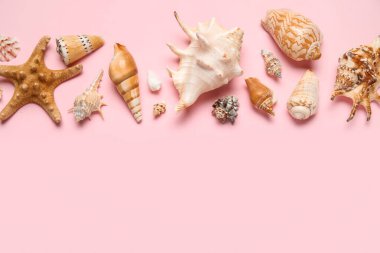 Pembe arka planda birçok farklı deniz kabuğu ve deniz yıldızı var.
