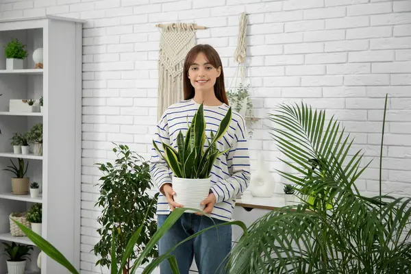 Genç bayan bahçıvan elinde saksıyla evde bitki tutuyor.