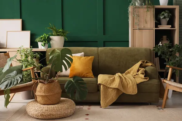 Kanepe, koltuklar ve Monstera çiçekleri oturma odasının içinde pouf 'ta.