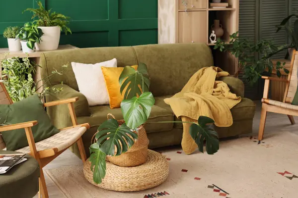 Kanepe, koltuklar ve Monstera çiçekleri oturma odasının içinde pouf 'ta.