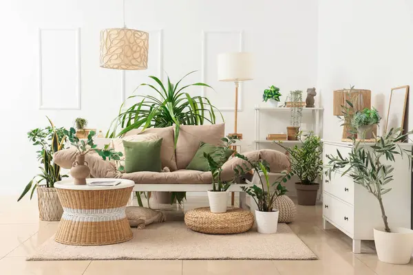 Kanepe, masa ve yeşil bitkilerle aydınlık oturma odasının içinde.