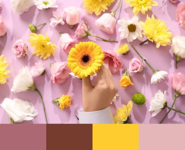 Pembe arka planda bir sürü çiçeği olan bir kadın eli. Farklı renk desenleri